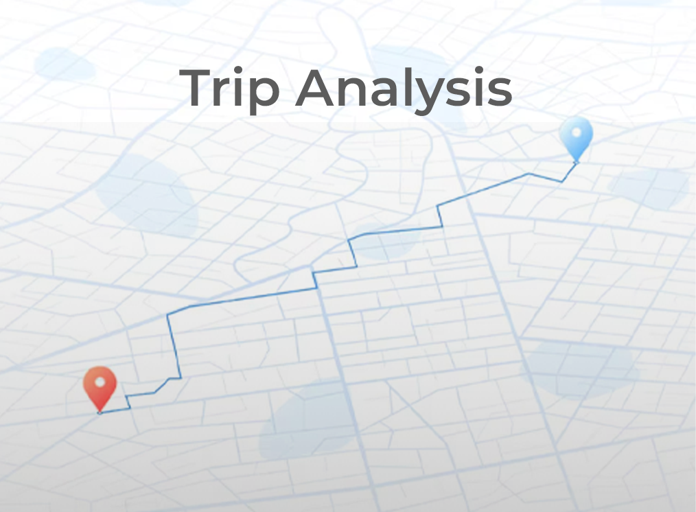 Trip Analysis
